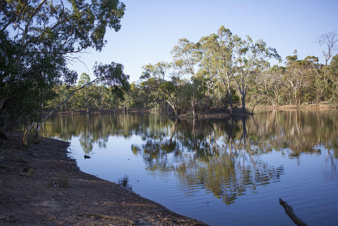 How to spend a weekend in South Australia’s Para Wirra Conservation Park