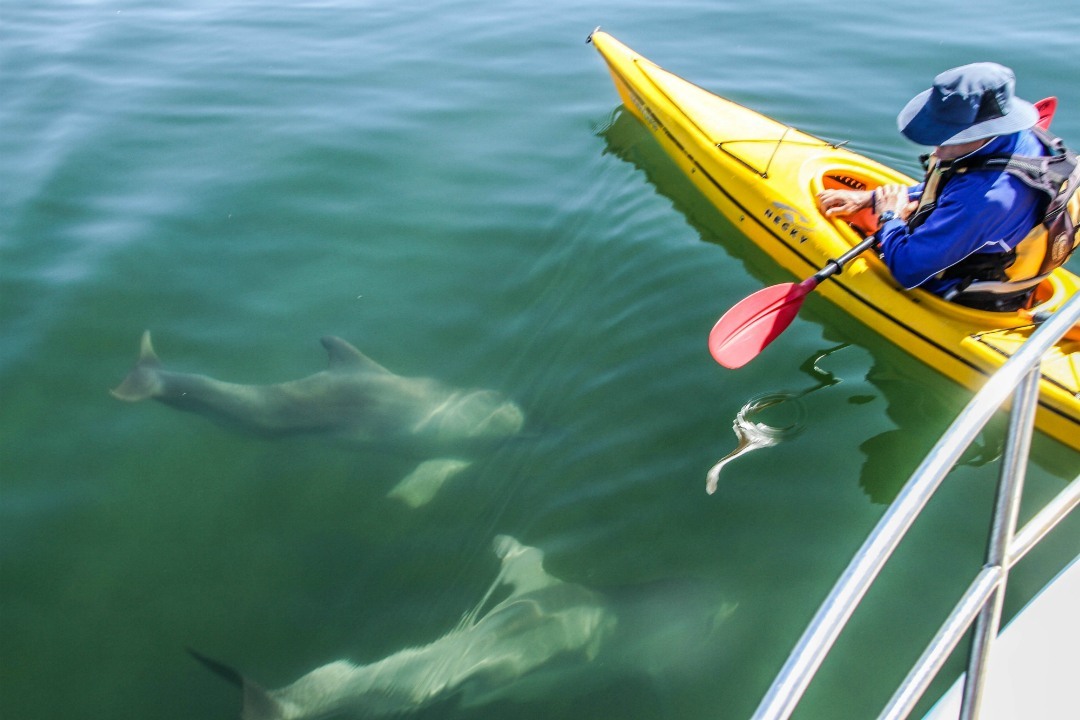 7 national parks in South Australia to go kayaking