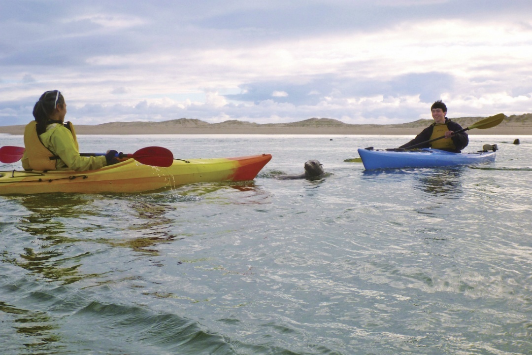 7 national parks in South Australia to go kayaking