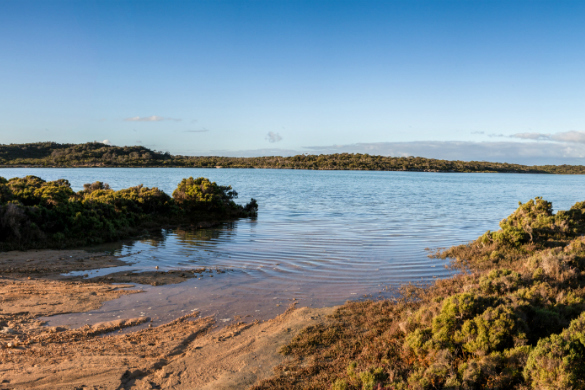 7 national parks in South Australia to go kayaking