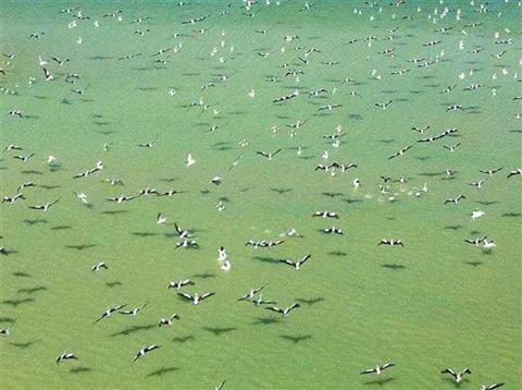 Kati Thanda-Lake Eyre from the air