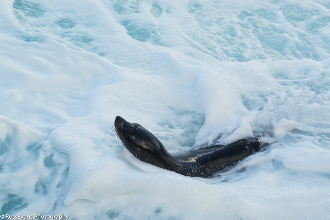 8 tips for taking great winter photographs on South Australia’s Kangaroo Island