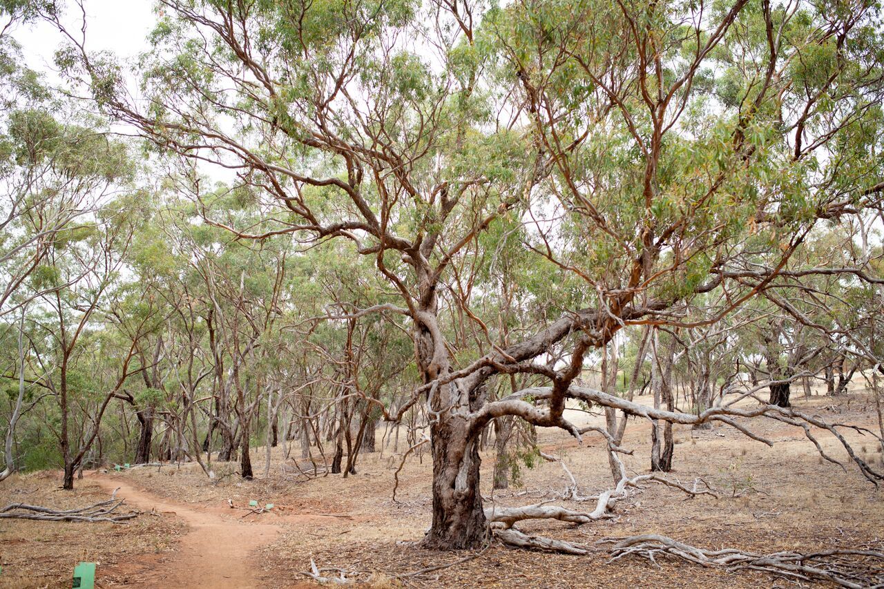 5 treasures in Shepherds Hill Recreation Park