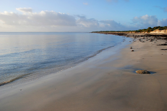 Ranger tips: Coffin Bay National Park