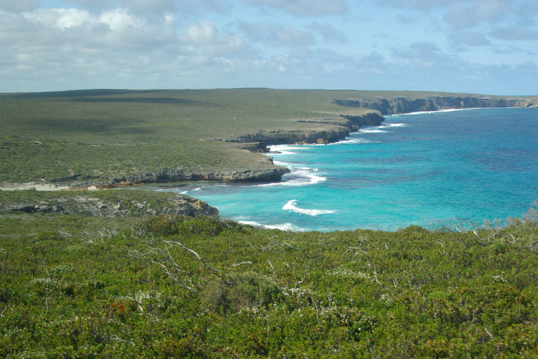 Ranger tips: Flinders Chase National Park