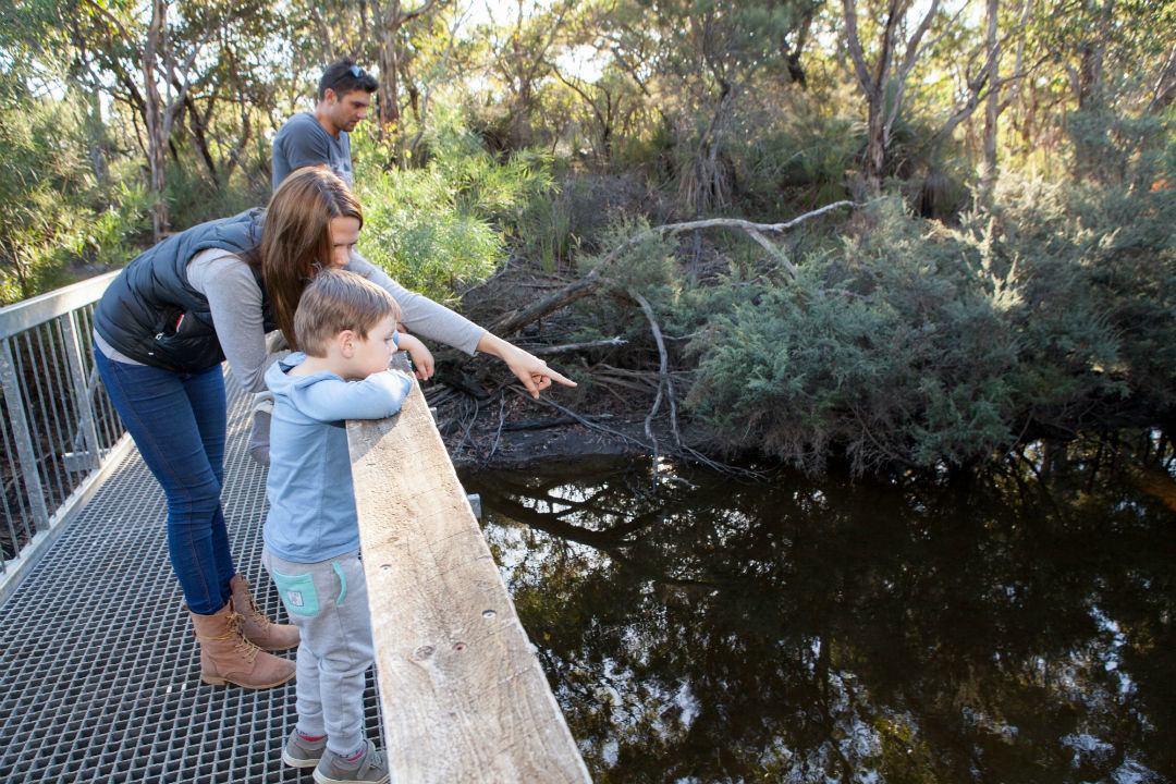 Ranger tips: Flinders Chase National Park