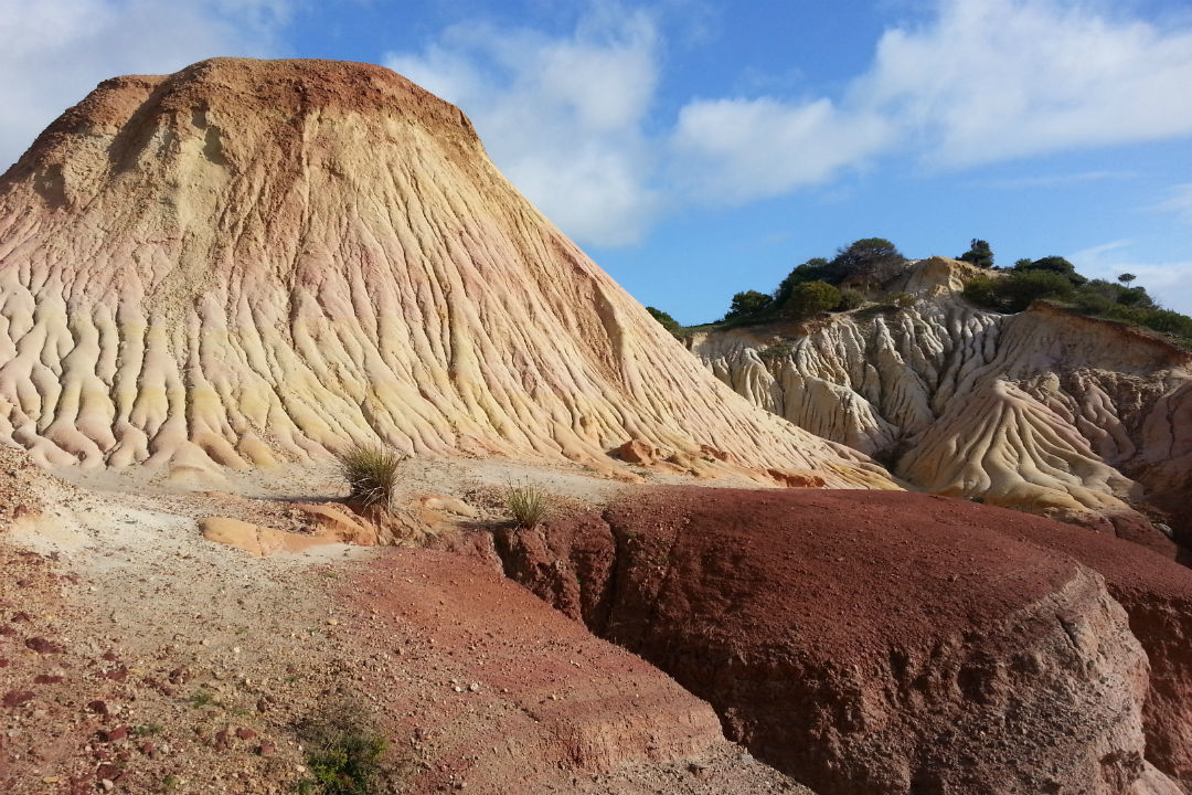 Ranger tips: Hallett Cove Conservation Park