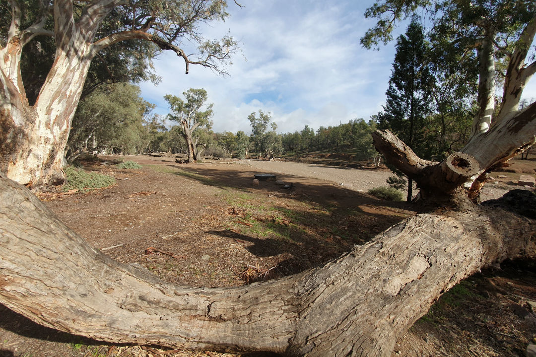 Ranger tips: Ikara-Flinders Ranges National Park