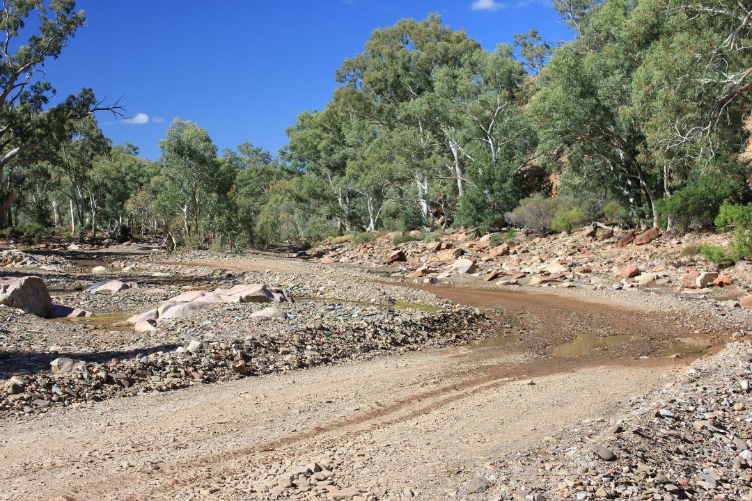 Ranger tips: Ikara-Flinders Ranges National Park