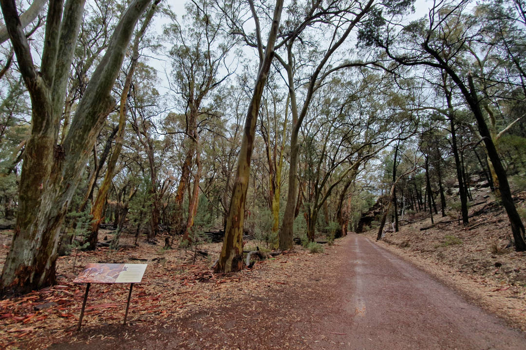 The Boom and Bust trail is an easy walk by Wilpena Creek, Flinders Ranges.