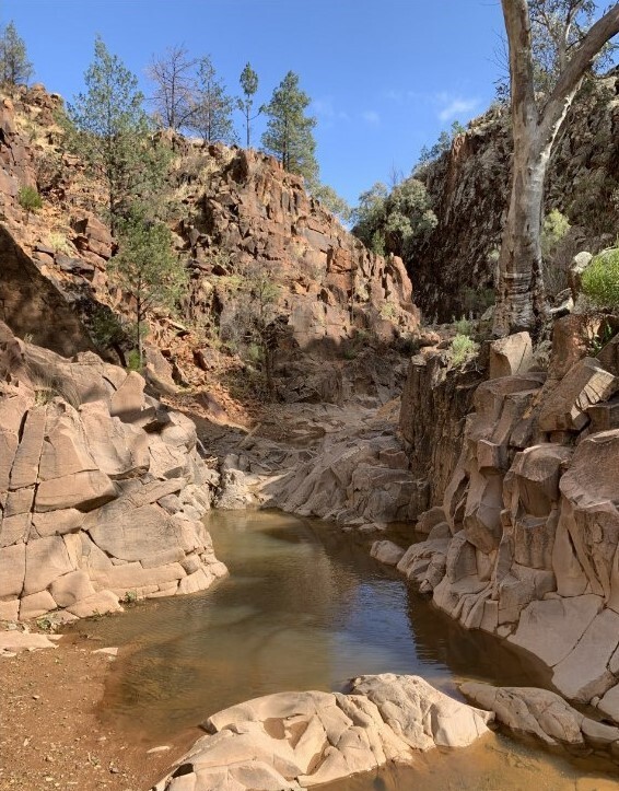 Ranger tips: Ikara-Flinders Ranges National Park