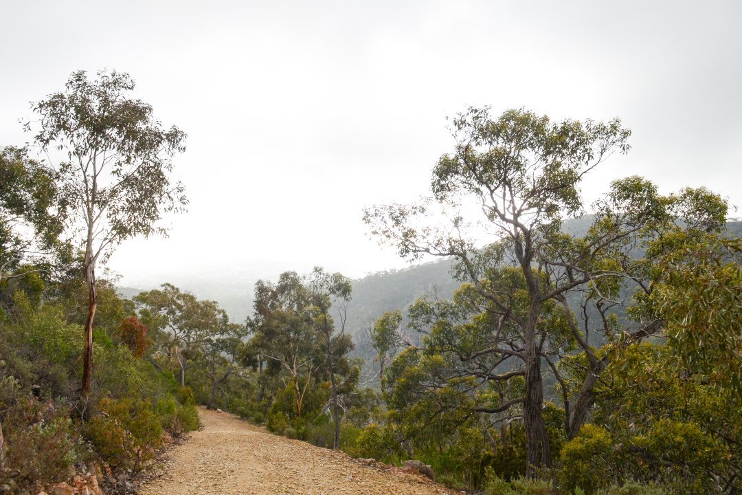 Ranger tips: Morialta and Black Hill conservation parks