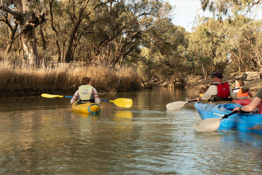 Ranger tips: Murray River National Park