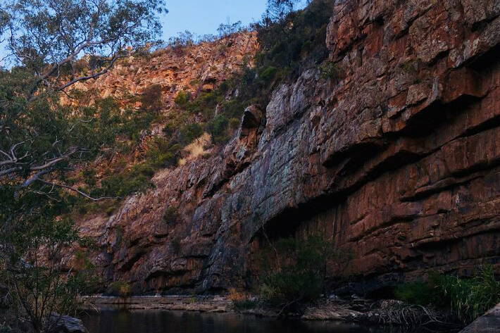 Ranger tips: Onkaparinga River parks