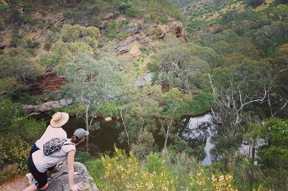 Ranger tips: Onkaparinga River parks