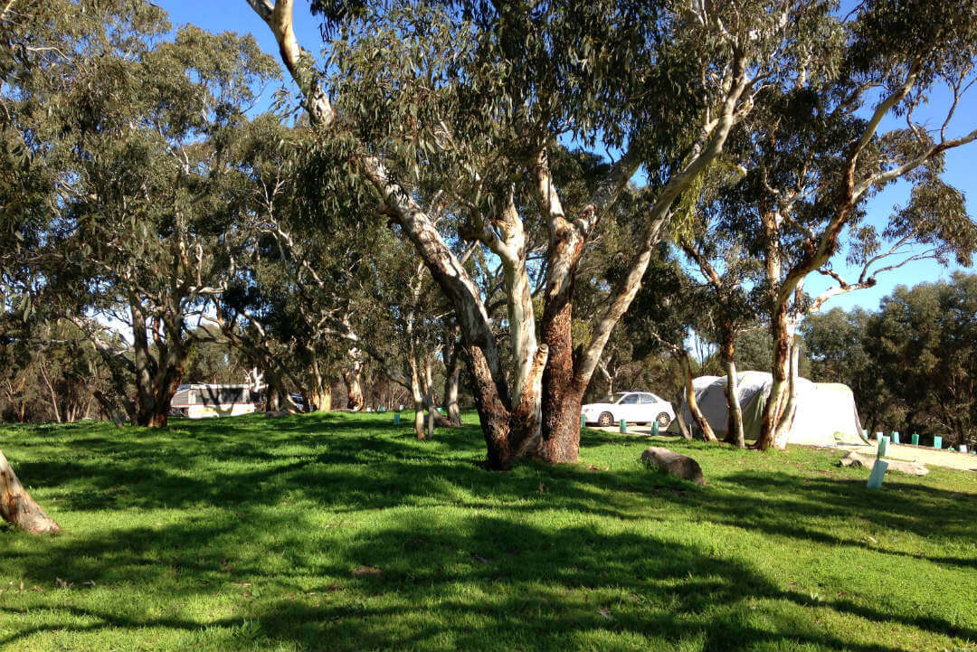 Ranger tips: Onkaparinga River parks