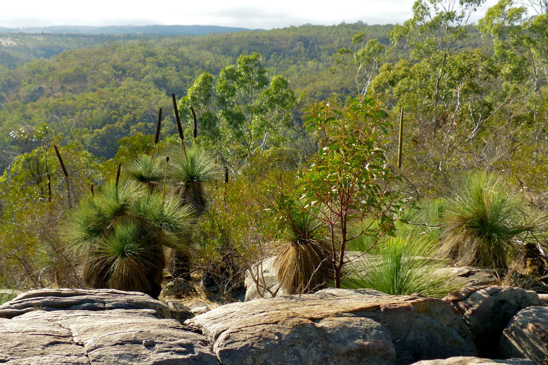 Ranger tips: Para Wirra Conservation Park