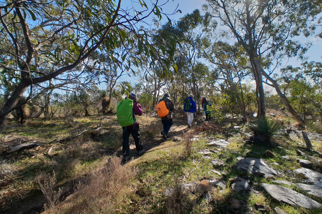 Ranger tips: Para Wirra Conservation Park