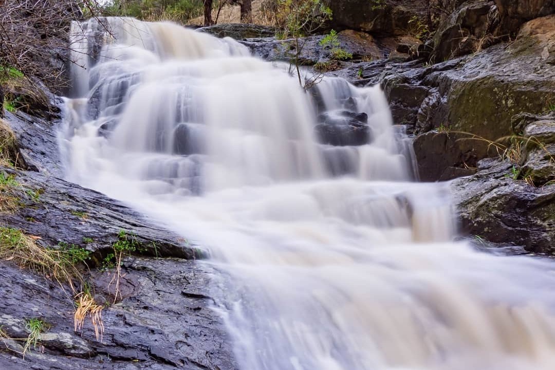 Ranger tips: Sturt Gorge Recreation Park