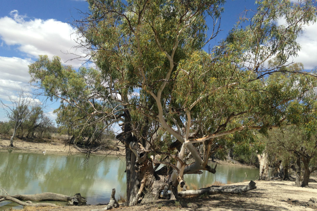 5 great camping spots around the River Murray