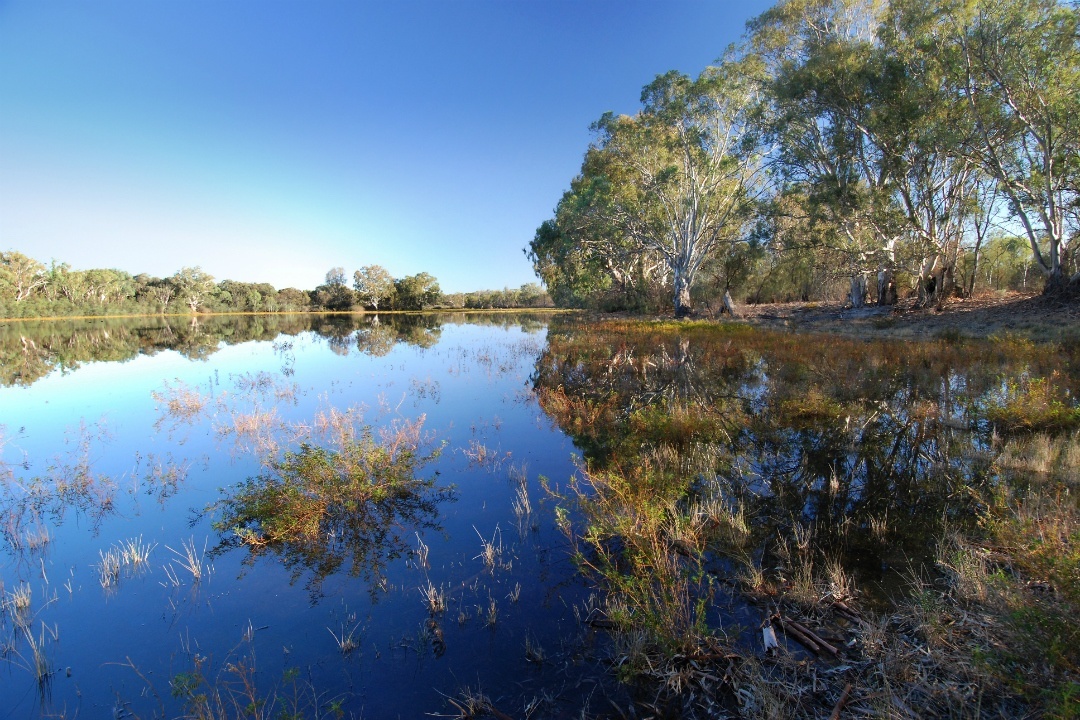 4 scenic River Murray walks you can take in South Australia