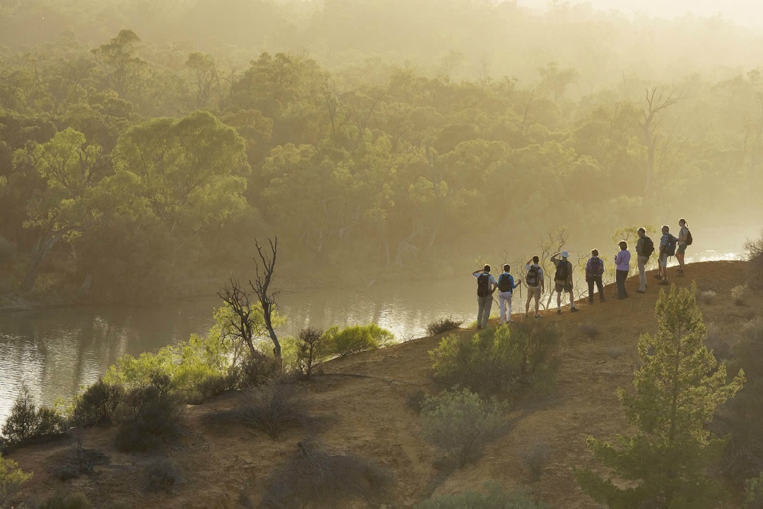 4 scenic River Murray walks you can take in South Australia