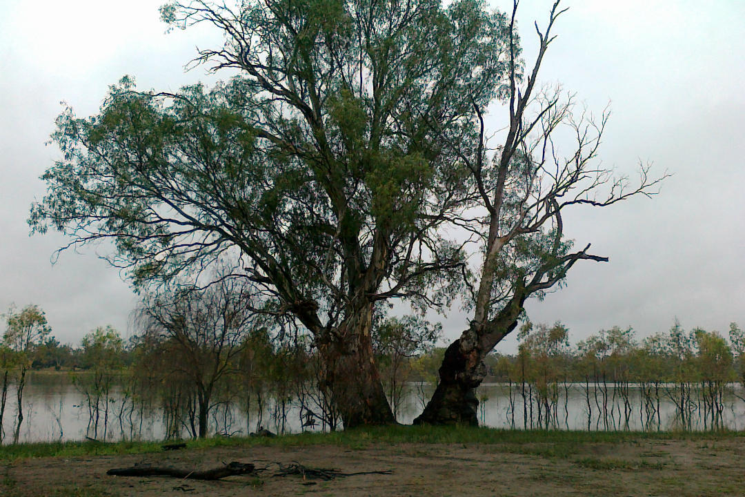 6 national parks to visit in South Australia’s Riverland