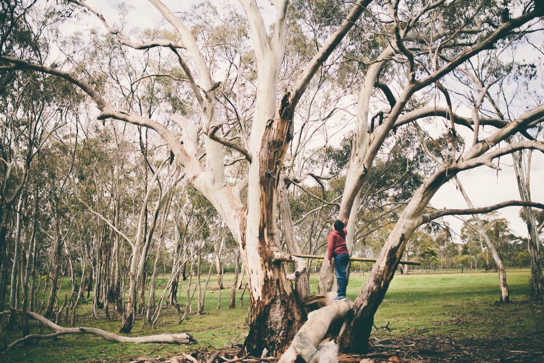 5 things to do in South Australia’s national parks these school holidays