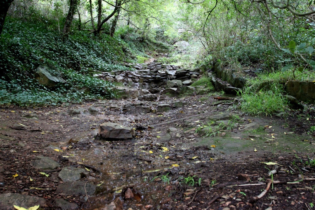 5 things to do in Adelaide’s national parks these school holidays