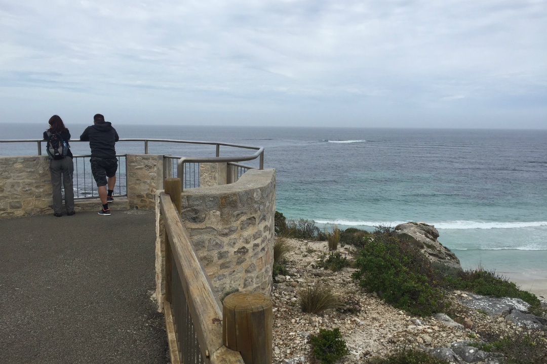 The Lookout at Seal Bay