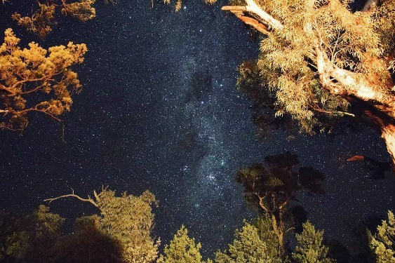 5 top parks for stargazing in South Australia