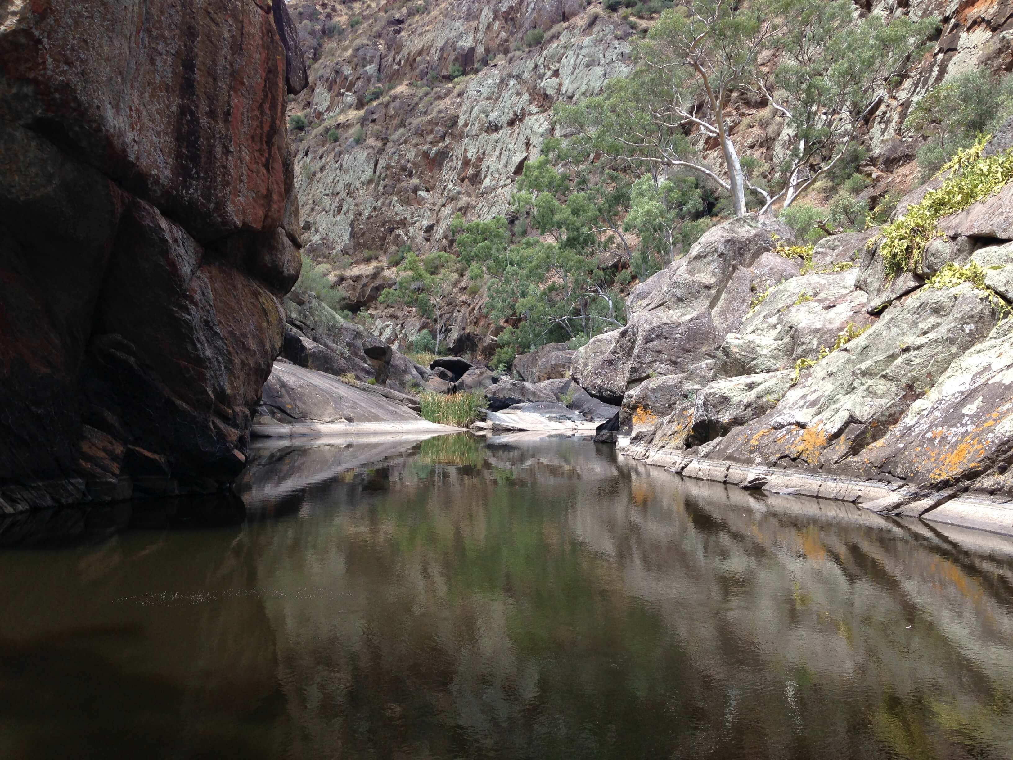 5 treasures in Onkaparinga River parks