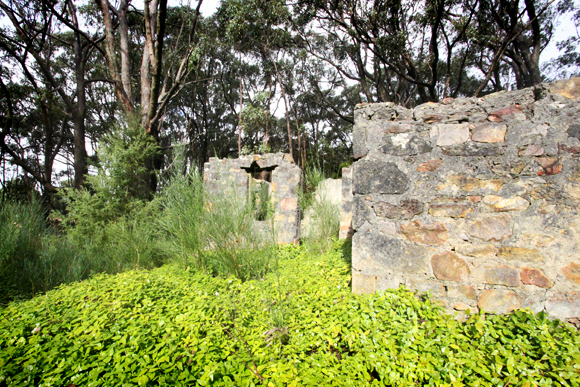 5 treasures in South Australia's Cleland National Park