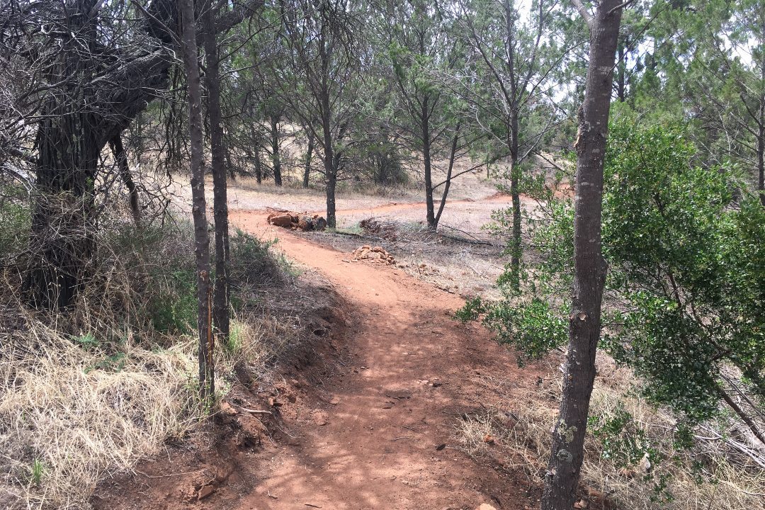 4 walks in South Australia’s national parks you might not have tried