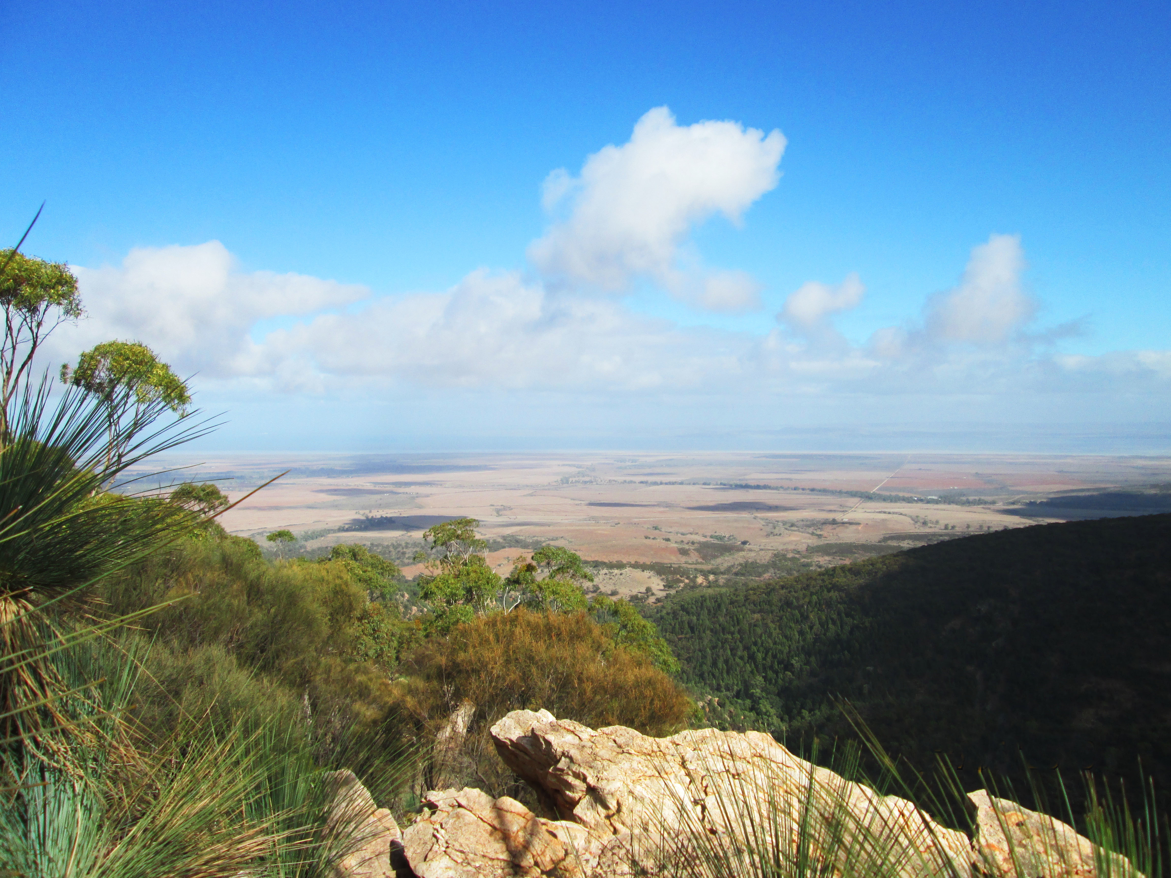 5 Treasures in Mount Remarkable National Park