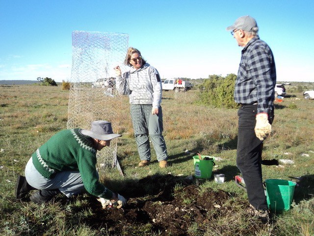 Empowering Citizen Scientists and Conservation Volunteers in South