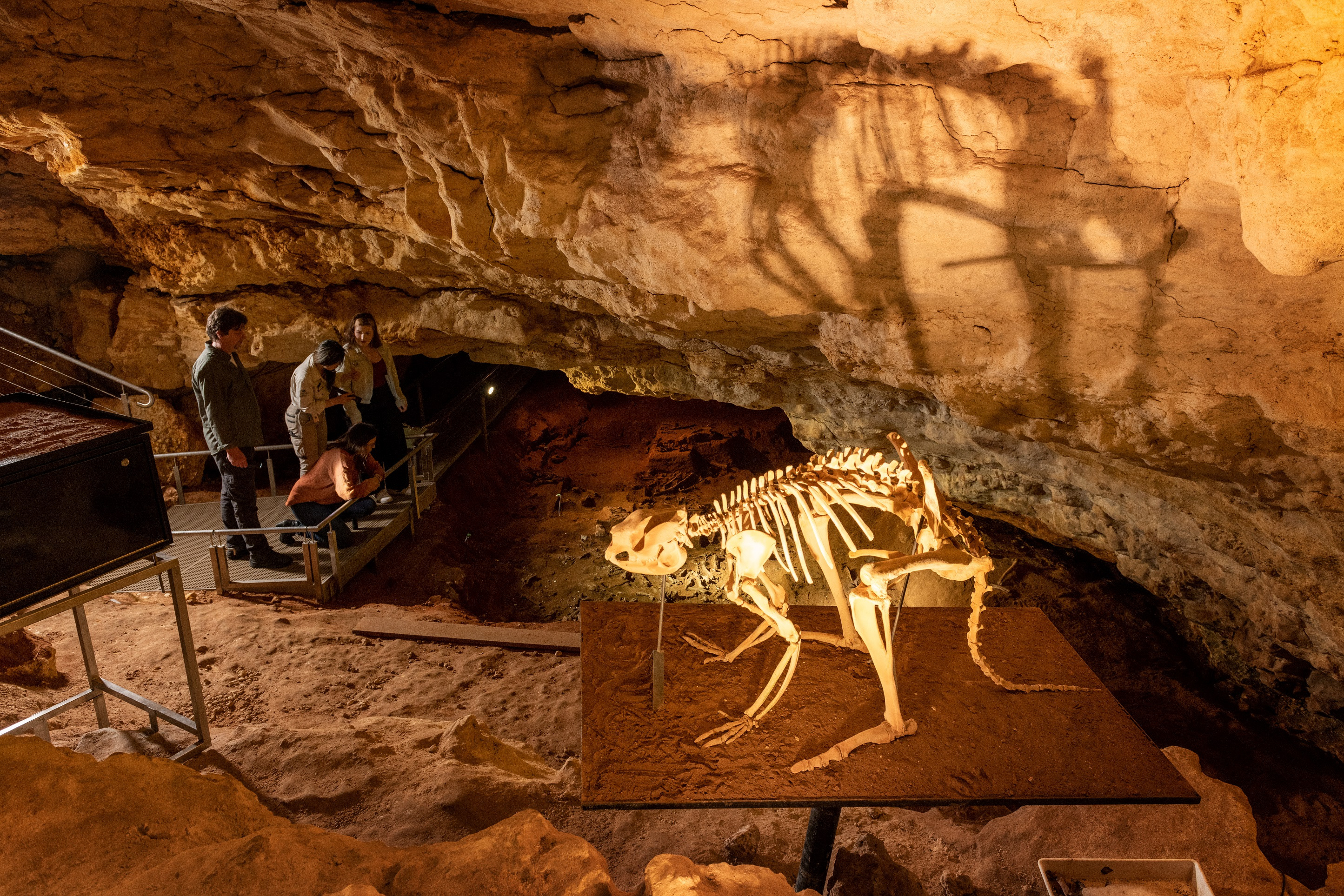 Victoria Fossil Cave