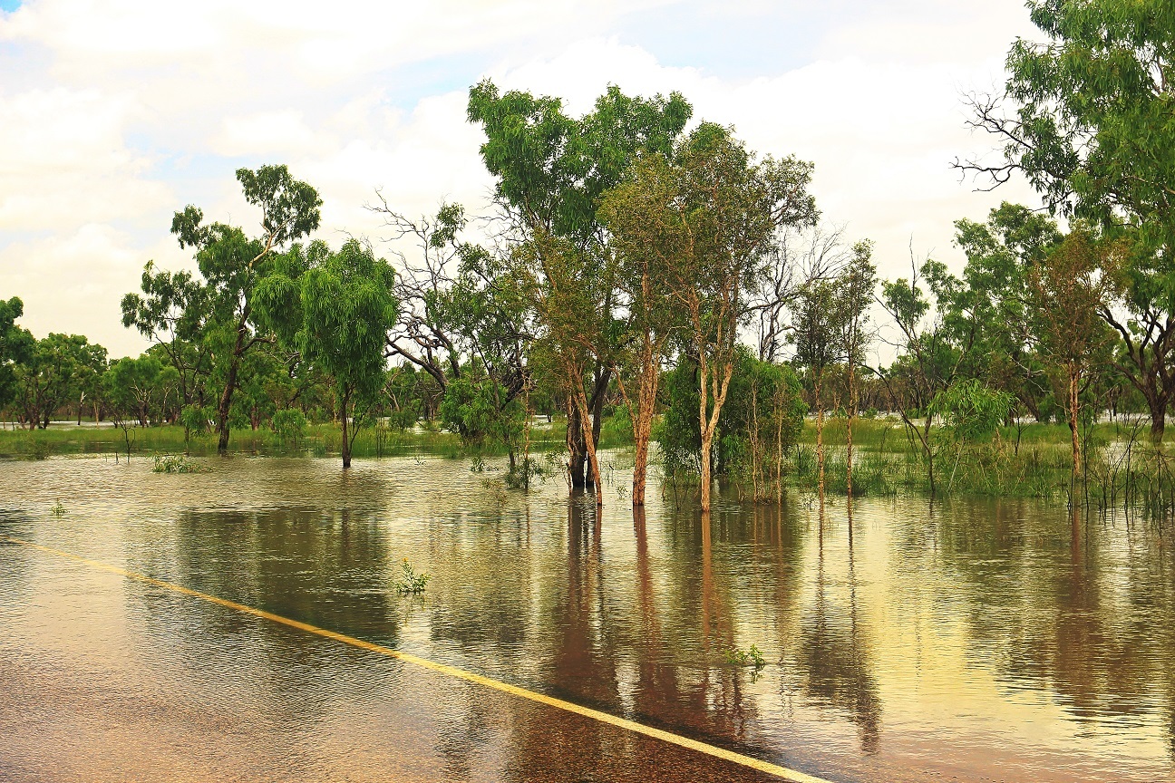 Department for Environment and Water - Flood risk