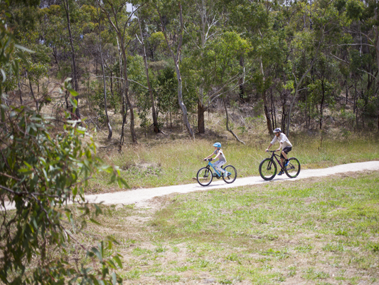 Take a walk in Anstey Hill Recreation Park: the Yellow-tail Loop