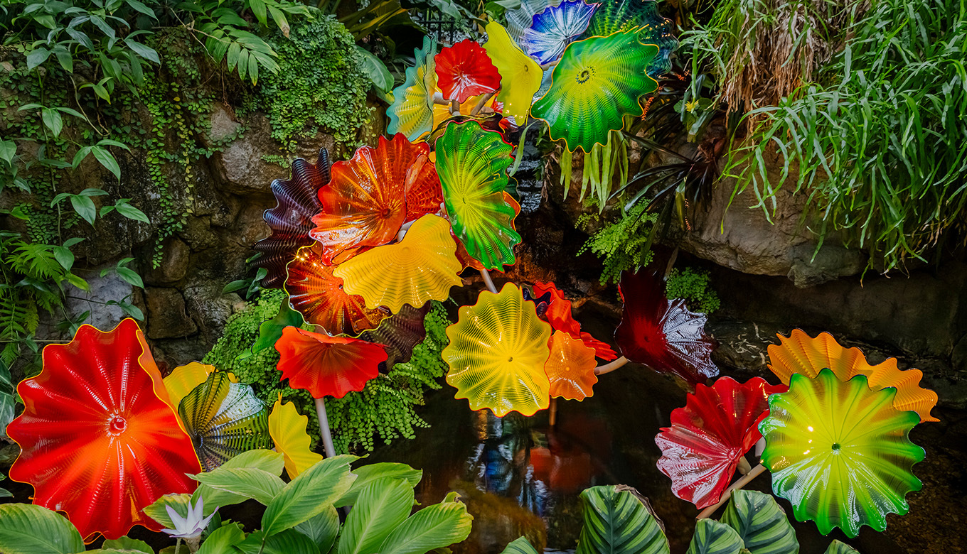 Dale Chihuly Ethereal Spring Persians © 2022 Chihuly Studio. All rights reserved. Photographer: Nathaniel Willson