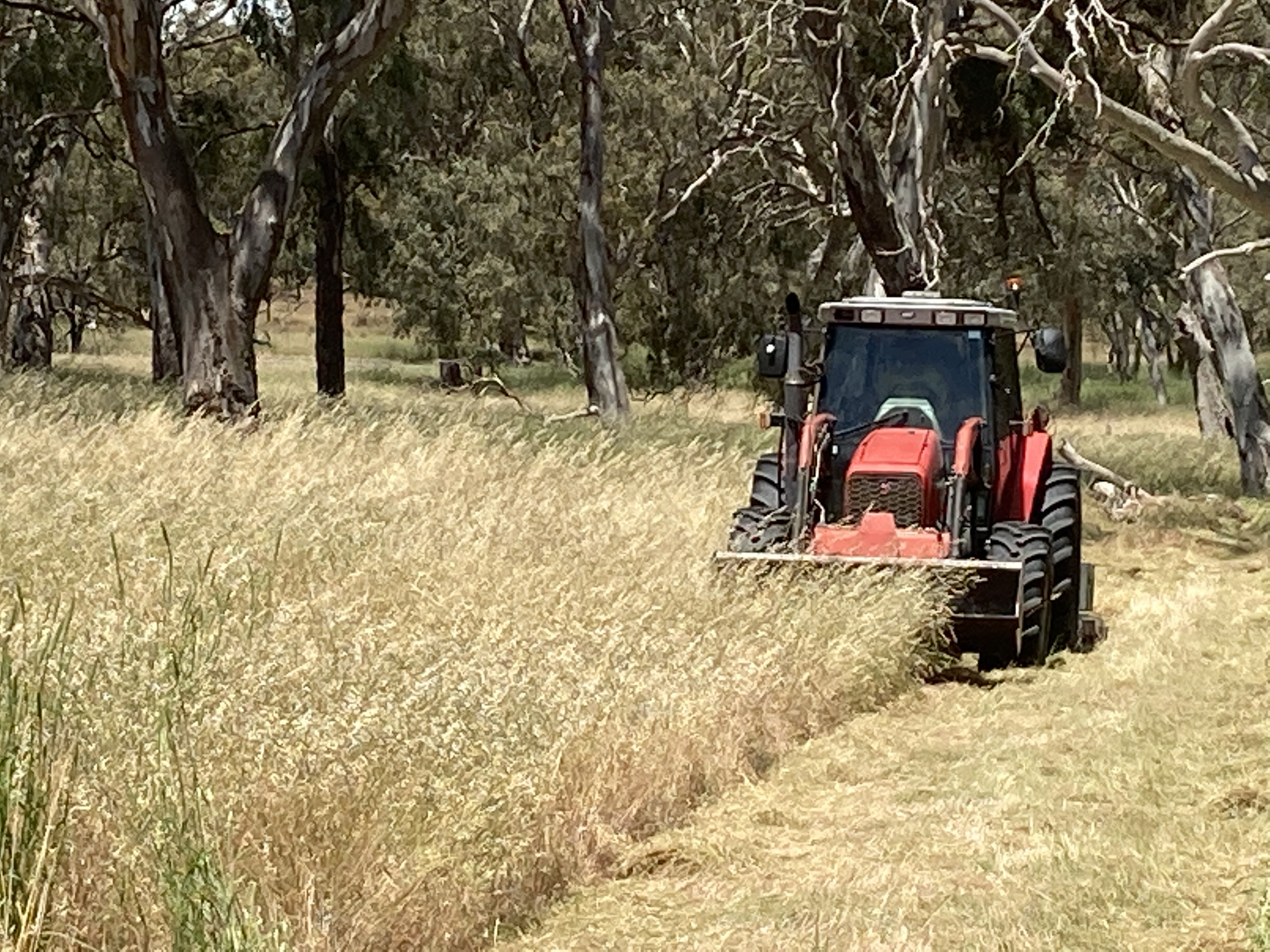 Department for Environment and Water - Slashing in parks and reserves