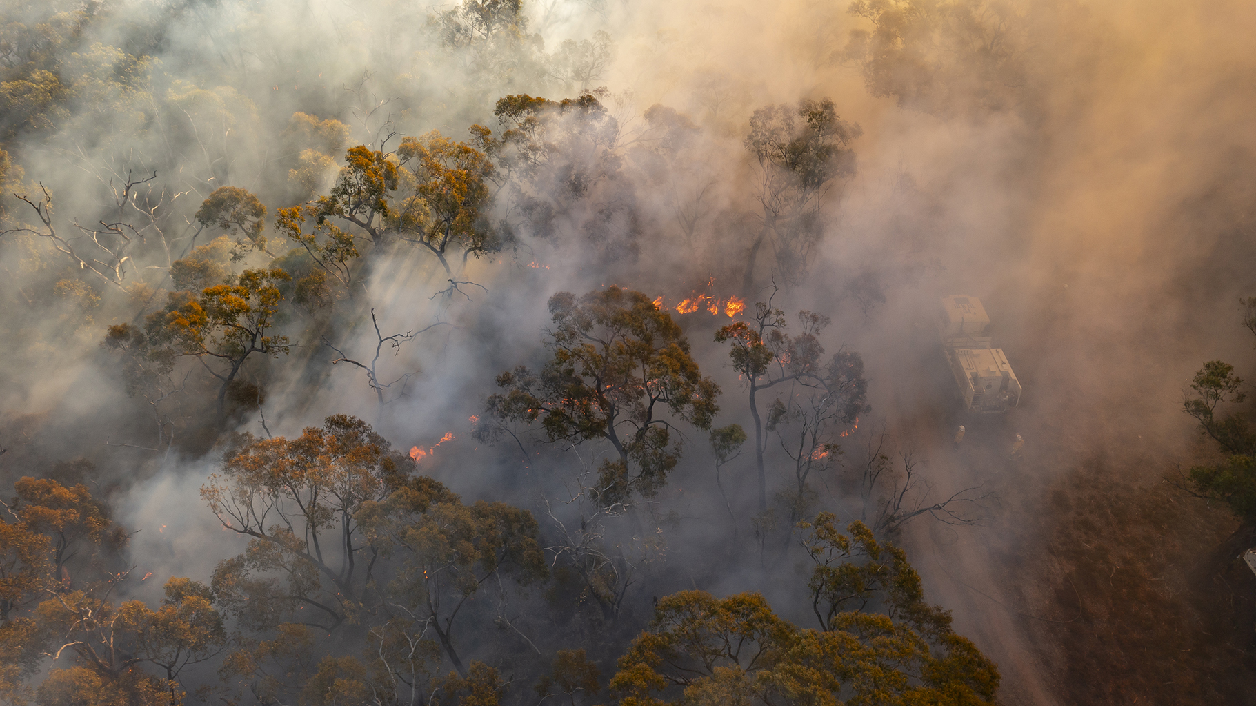 Department for Environment and Water - Fighting fire with fire