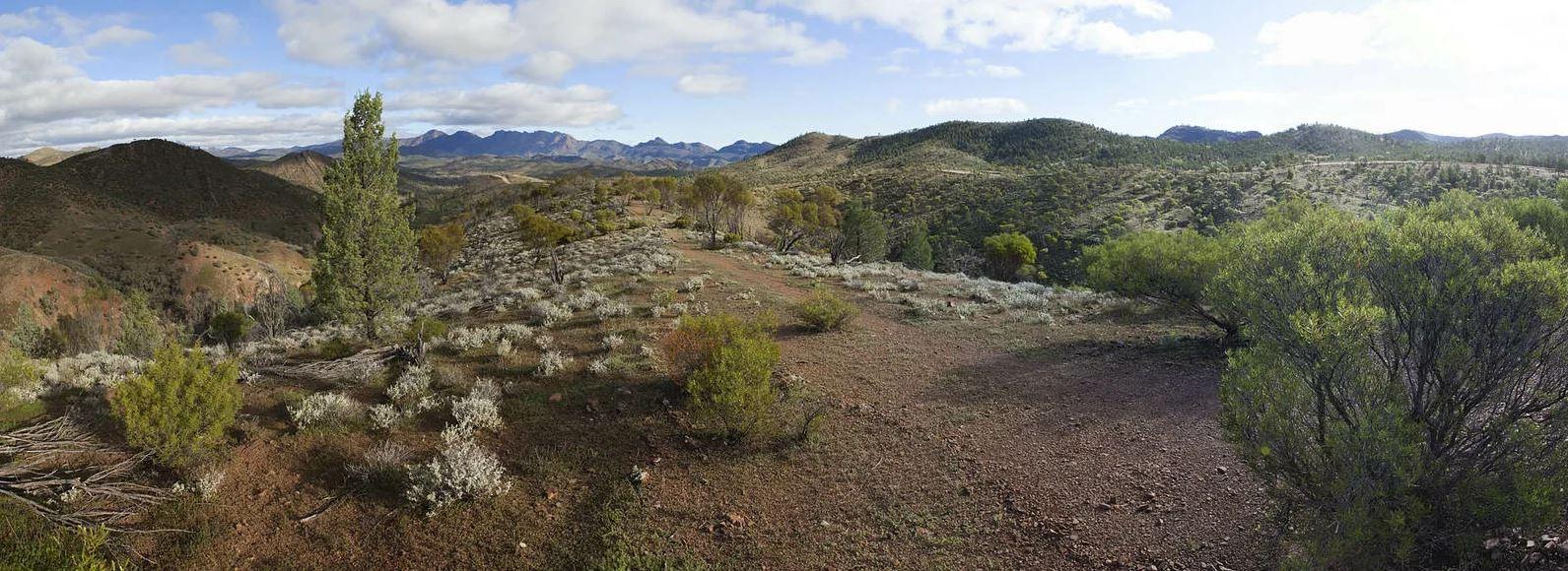 Ikara-Flinders Ranges National Park