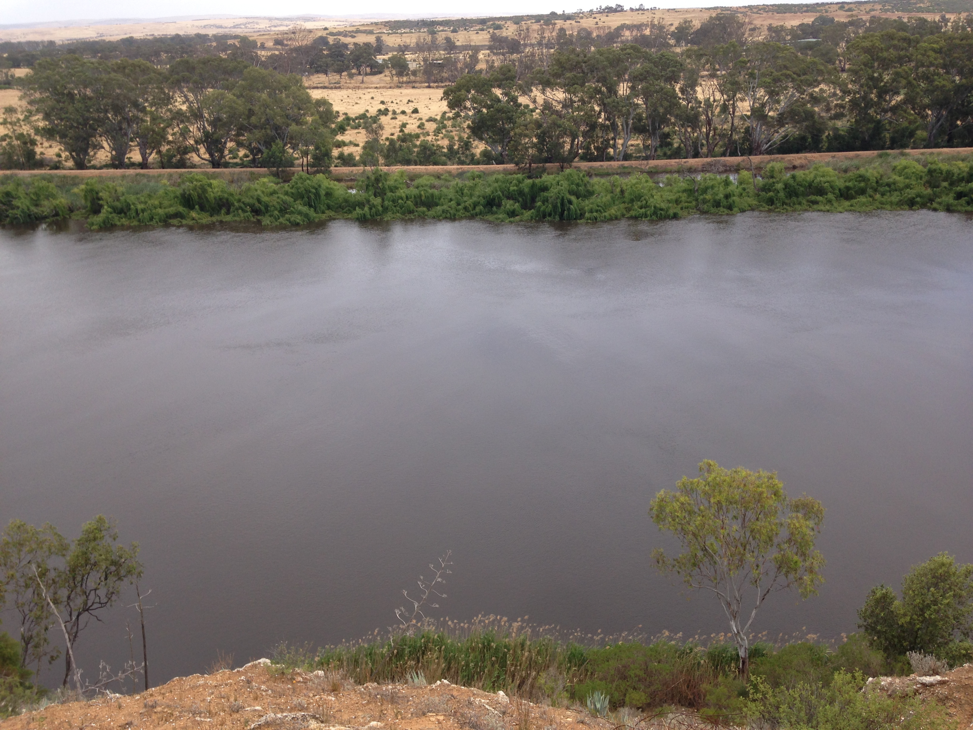 Department for Environment and Water - Lower Murray Reclaimed…