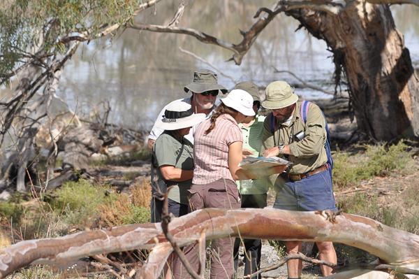 Chowilla Game Reserve bushwalkers