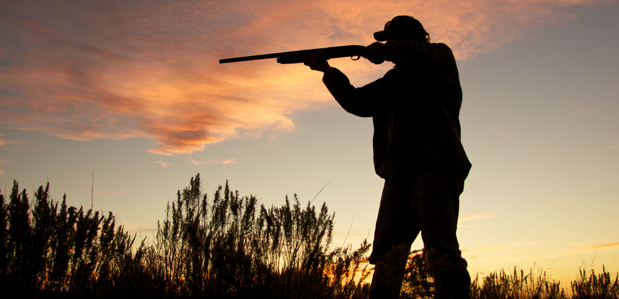 Department for Environment and Water Hunting permits Department for Environment and Water Hunting permits