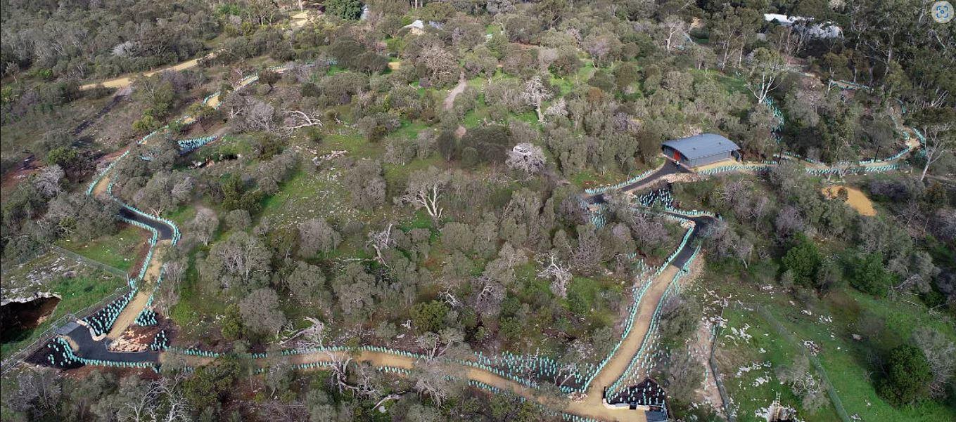 Your guide to accessible features at Naracoorte Caves