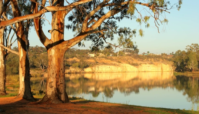 Murray River National Park