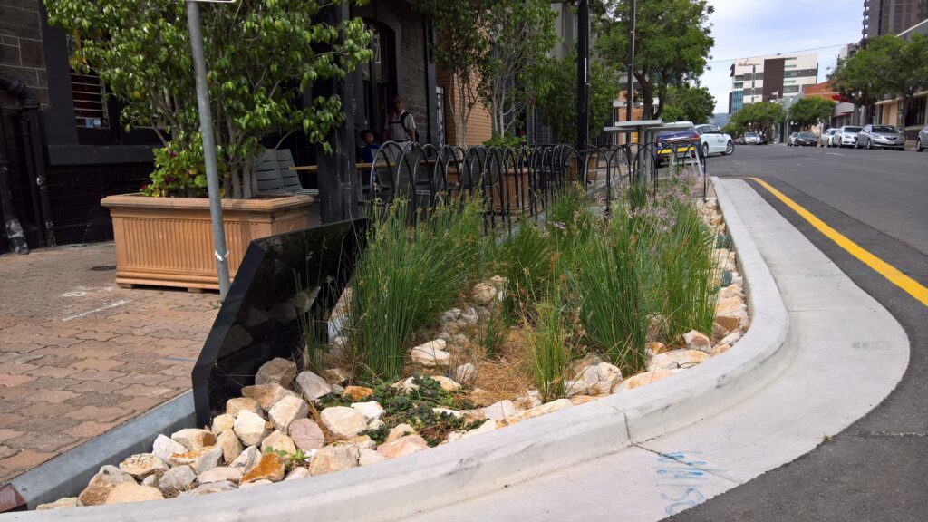 Gilbert Street Adelaide CBD raingarden-credit Water Sensitive SA