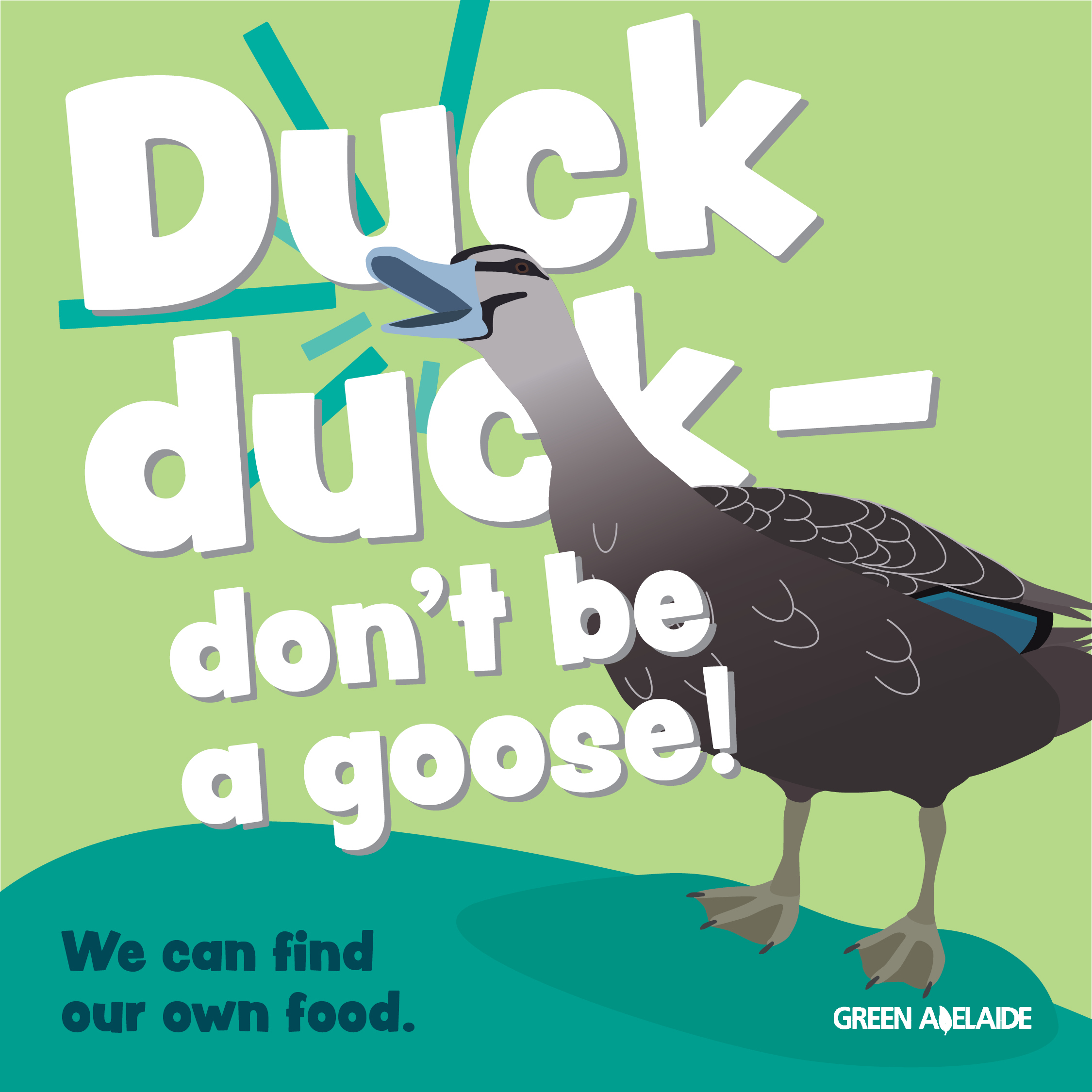 Duck campaign